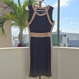 Elegant Black and Tan Dress